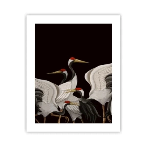 Affiche - Poster - Histoire d'oiseaux - 40x50 cm