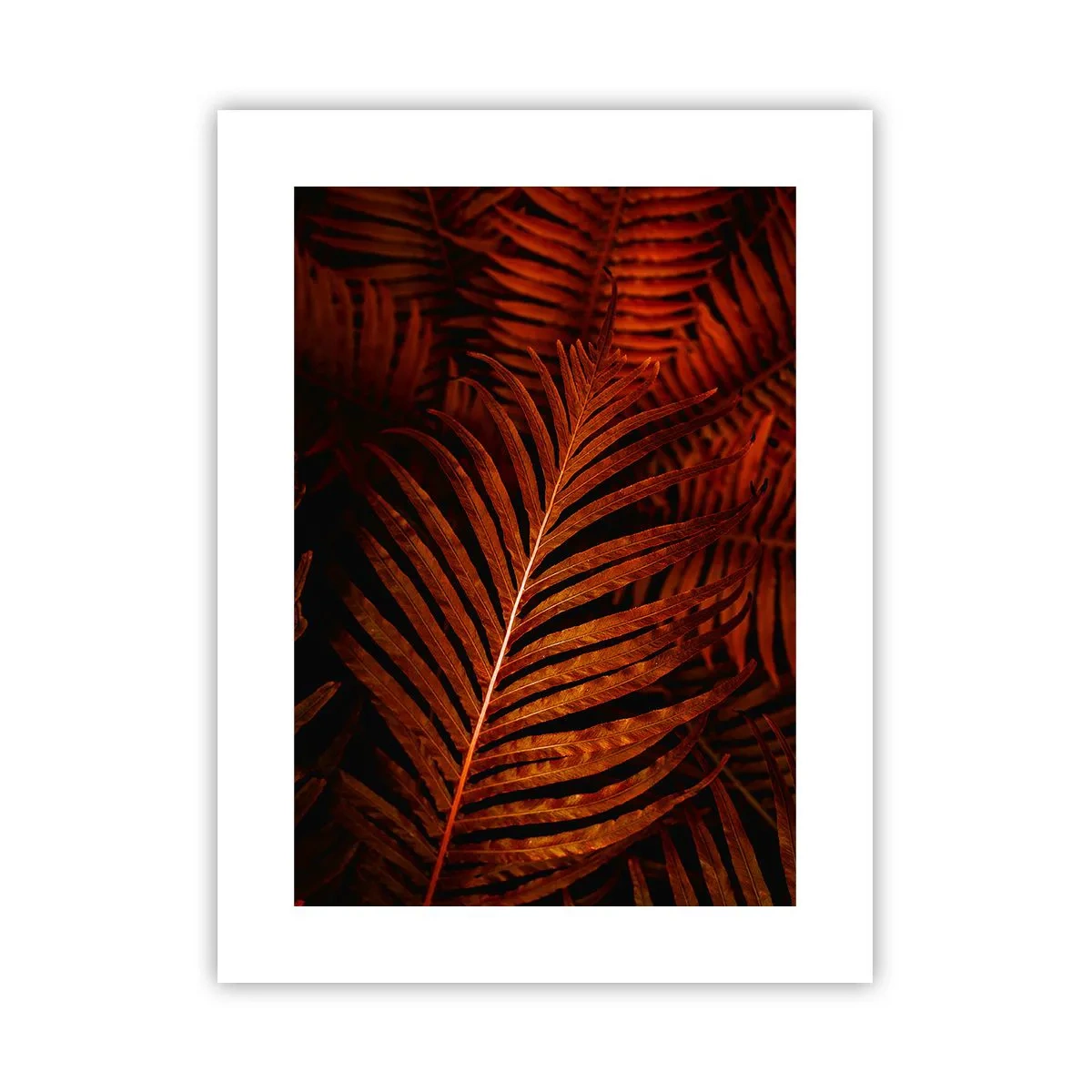 Affiche - Poster - Chaleur de la vie - 30x40 cm