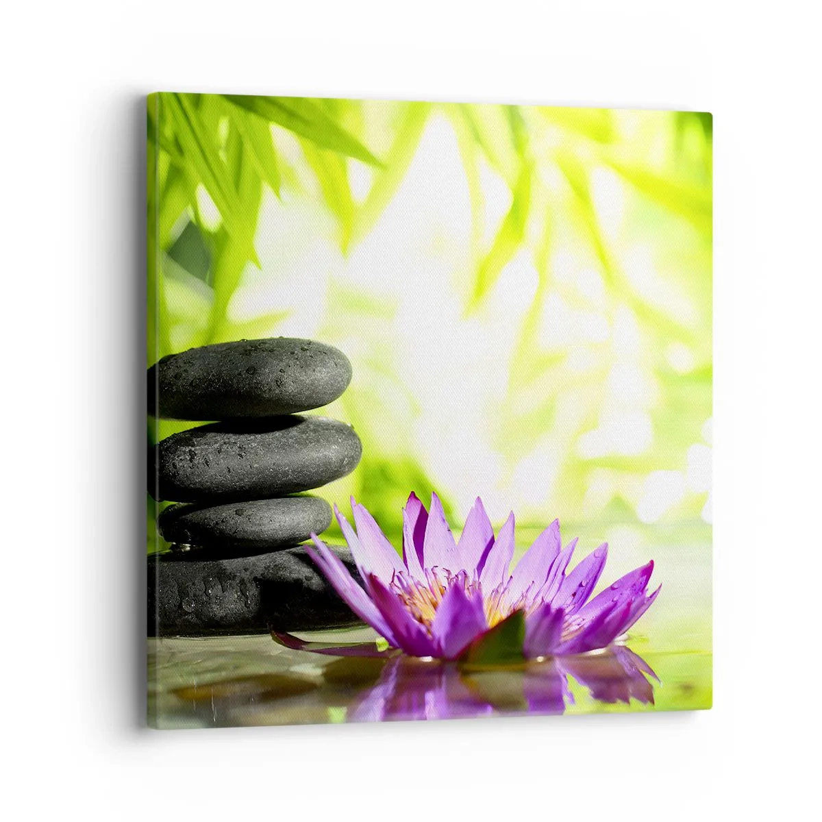 Impression sur toile - Image sur toile - Dans un buisson de bambou - 40x40 cm