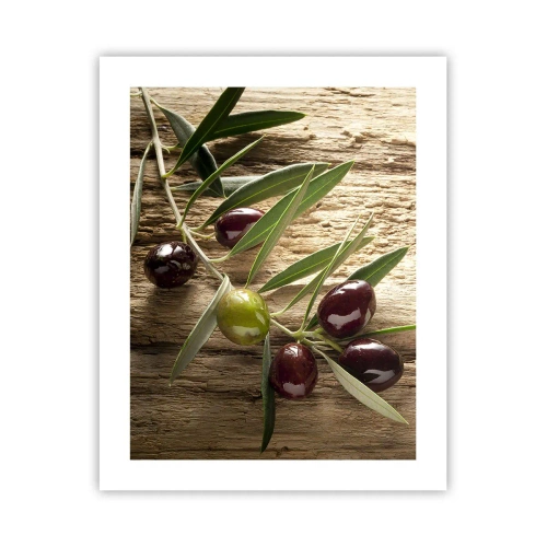 Affiche - Poster - Directement de la nature - 40x50 cm