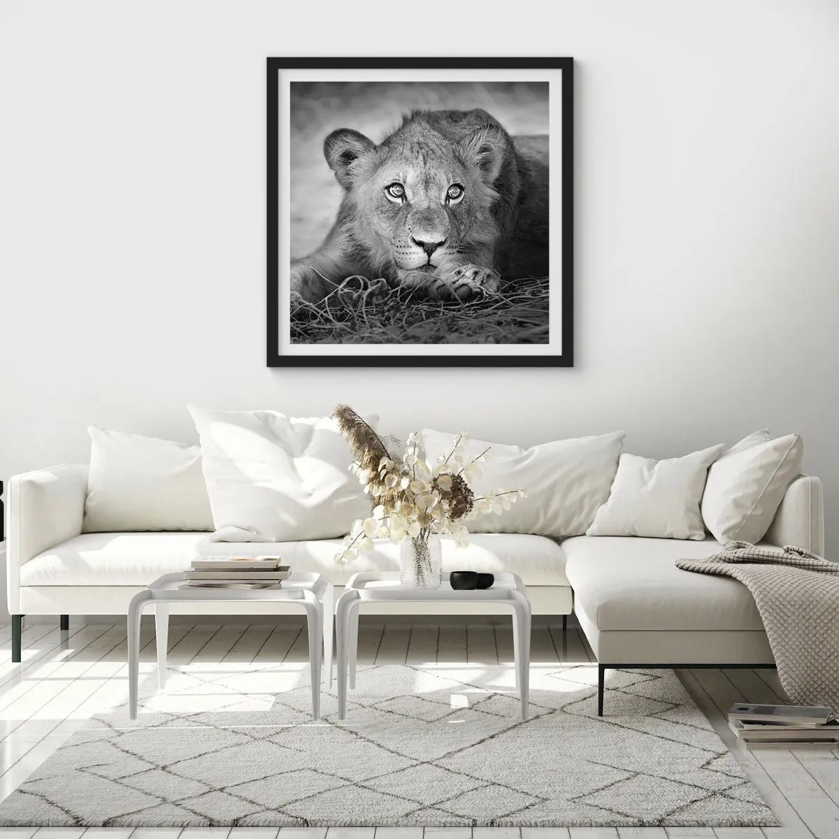 Affiche dans un cadre noir - Poster - Chiot royal - 60x60 cm