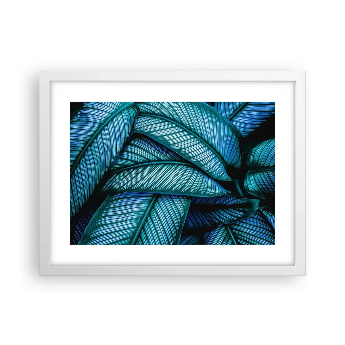 Affiche dans un cadre blanc - Poster - Lignes de vie - 40x30 cm