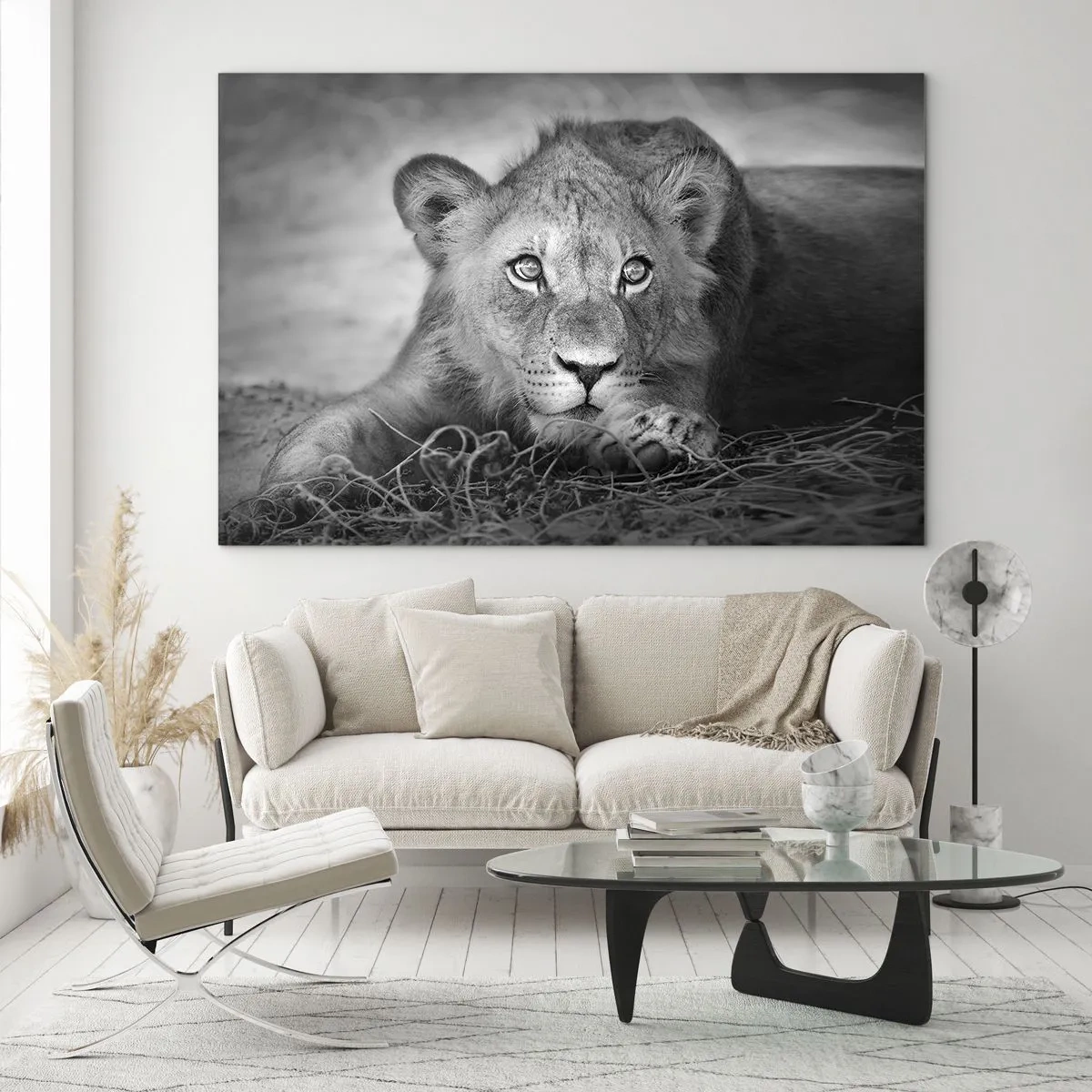 Impression sur verre - Image sur verre - Un lionceau en noir et blanc regardant la caméra - 70x50cm - Chiot royal - Décoration murale moderne pour le salon et la chambre ARTTOR