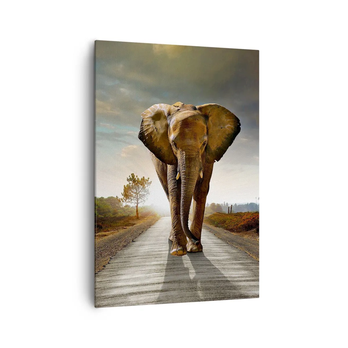 Impression sur toile - Image sur toile - Un éléphant marchant le long d'une route à travers un paysage au coucher du soleil - 70x100cm - Et pas du tout en porcelaine - Décoration murale moderne pour le salon et la chambre ARTTOR