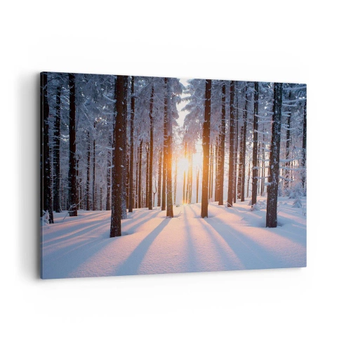 Impression sur toile - Image sur toile - Forêt d'hiver illuminée par les rayons du soleil - 100x70cm - Clairement en noir et blanc - Décoration murale moderne pour le salon et la chambre ARTTOR