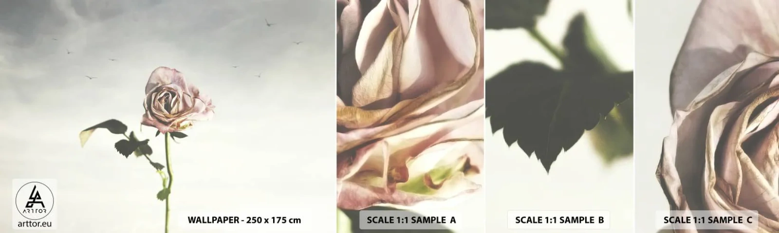 Échantillon de Papier Peint Autocollant Deluxe Sticker - Bonjour de printemps - Rose, Fleur, Morceau - 100x30 cm