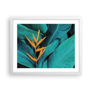 Affiche dans un cadre blanc - Poster - Fleur d'Eden - 50x40 cm