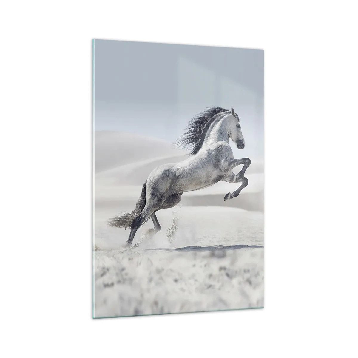 Impression sur verre - Image sur verre - Un cheval blanc galopant sur fond de dunes du désert - 70x100cm - Prince arabe - Décoration murale moderne pour le salon et la chambre ARTTOR