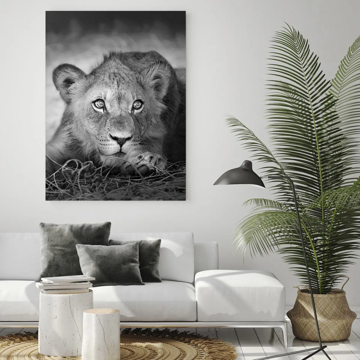 Impression sur verre - Image sur verre - Un lionceau en noir et blanc regardant la caméra - 50x70cm - Chiot royal - Décoration murale moderne pour le salon et la chambre ARTTOR