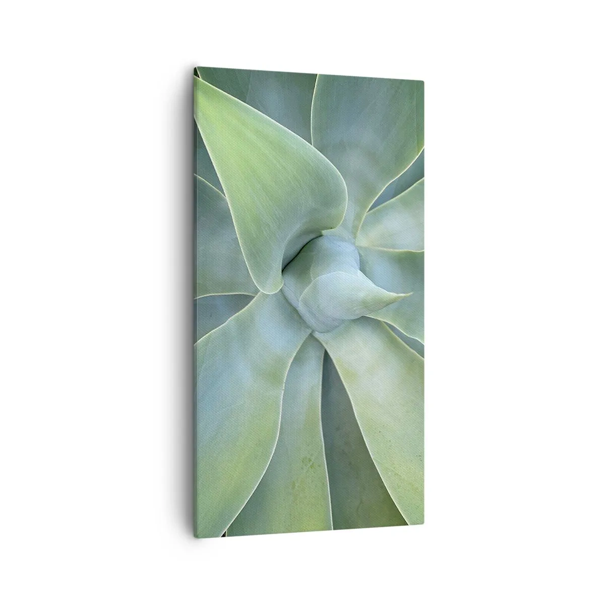 Impression sur toile - Image sur toile - La naissance de la verdure - 55x100 cm