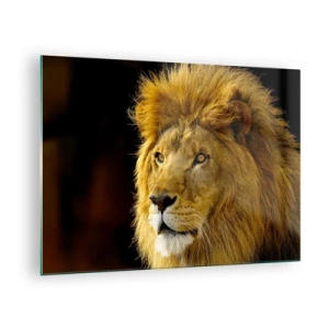 Impression sur verre - Image sur verre - Portrait d'un lion majestueux sur fond sombre - 70x50cm - Portrait de roi - Décoration murale moderne pour le salon et la chambre ARTTOR