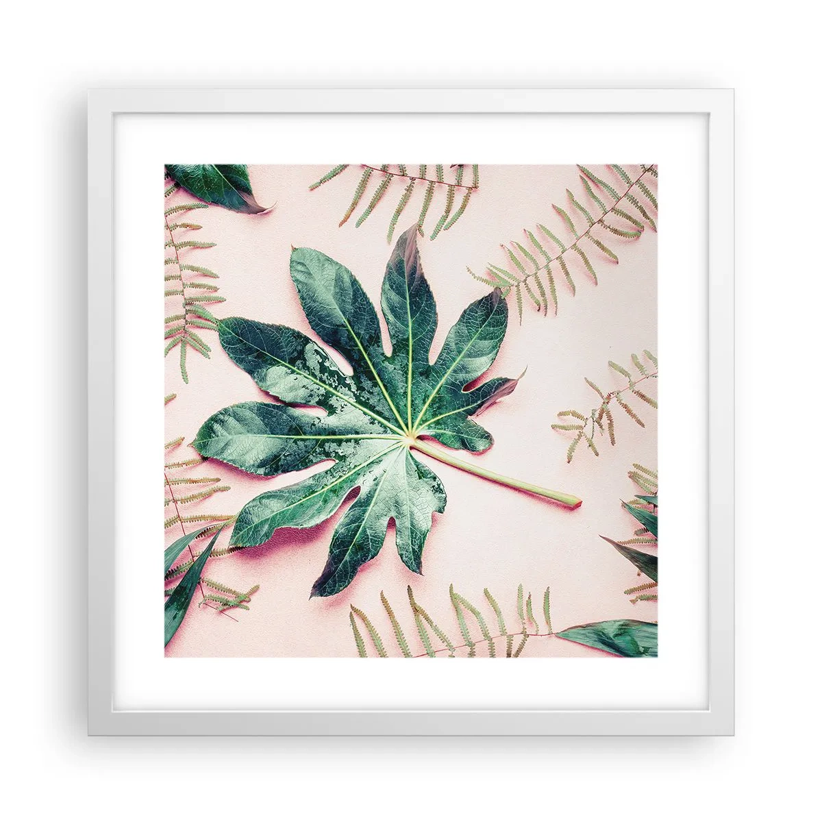 Affiche dans un cadre blanc - Poster - Étude de verdure sur fond rose - 40x40 cm