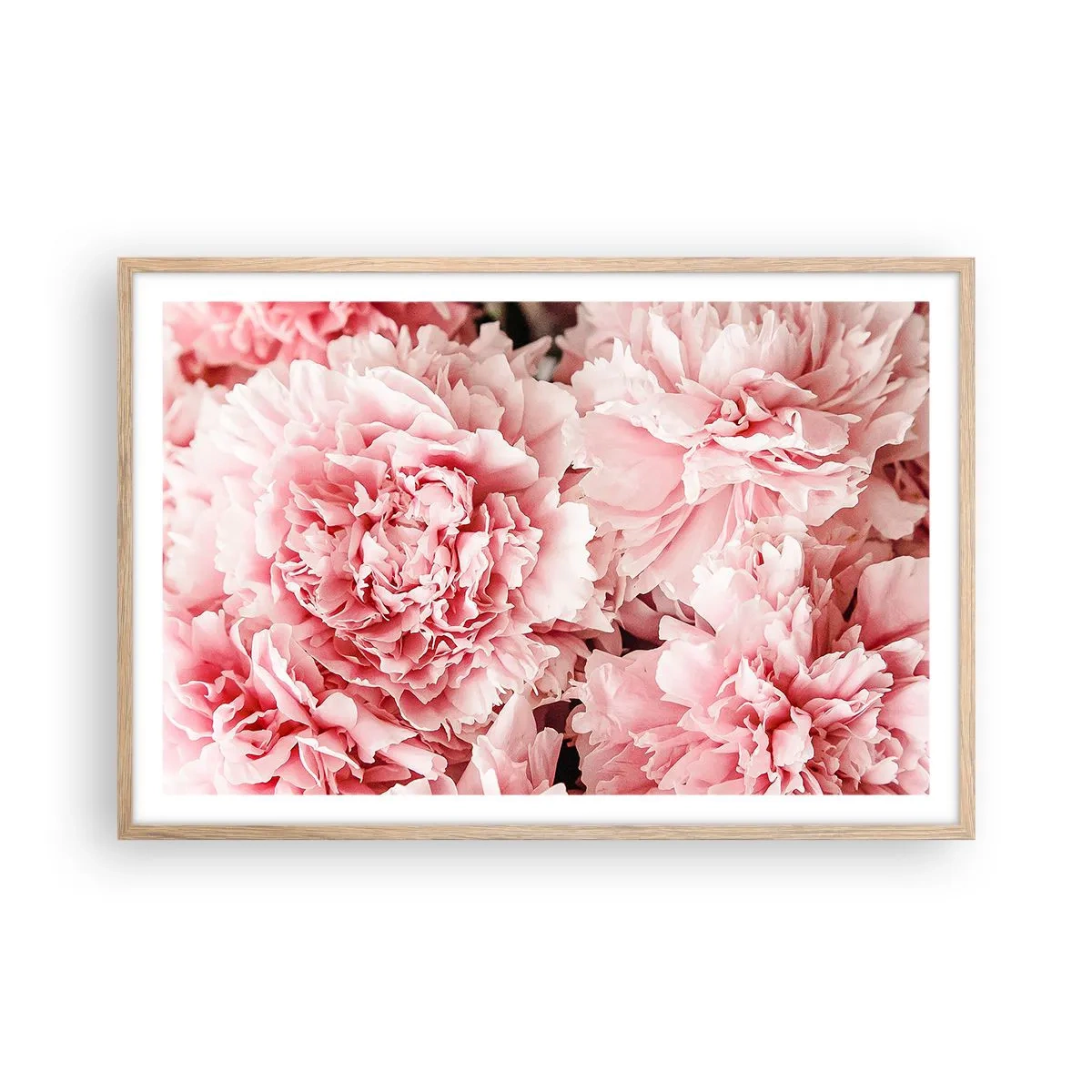 Affiche dans un chêne clair - Poster - Rêve rose - 91x61 cm