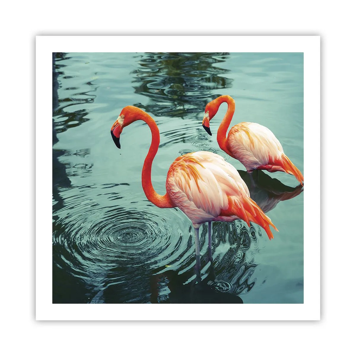 Affiche - Poster - Nous sommes à la mode maintenant - 60x60 cm