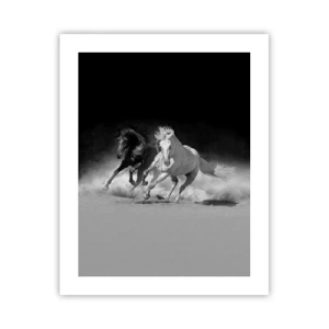 Affiche - Poster - Galop de la liberté - 40x50 cm