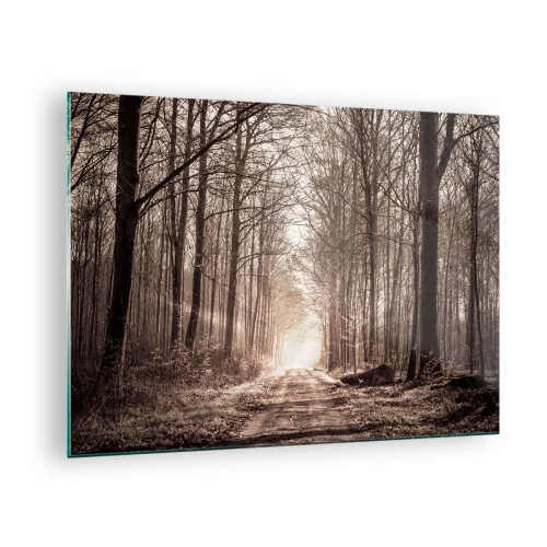 Impression sur verre - Image sur verre - Route forestière dans le brouillard matinal - 70x50cm - Cathédrale de la forêt - Décoration murale moderne pour le salon et la chambre ARTTOR