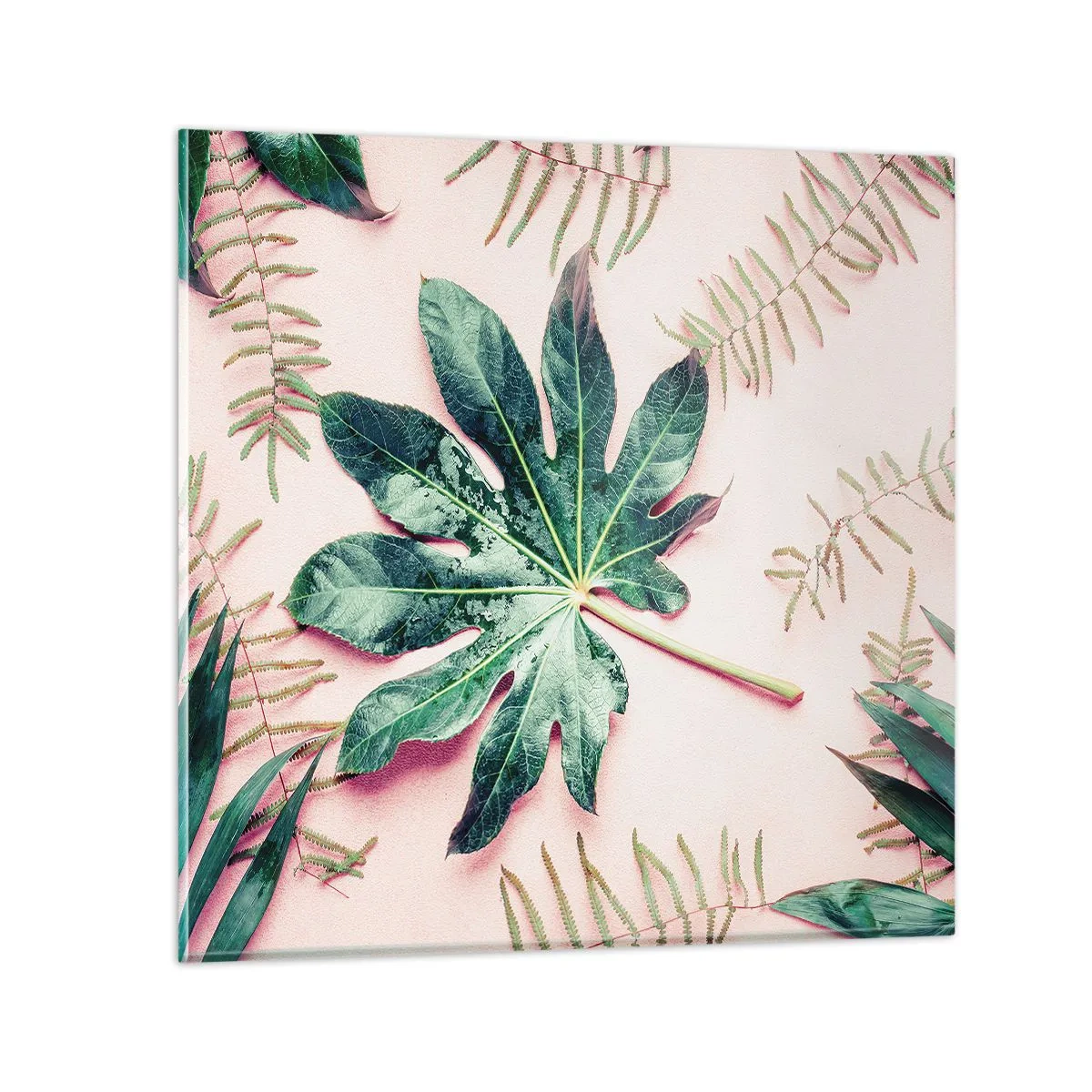 Impression sur verre - Image sur verre - Étude de verdure sur fond rose - 50x50 cm