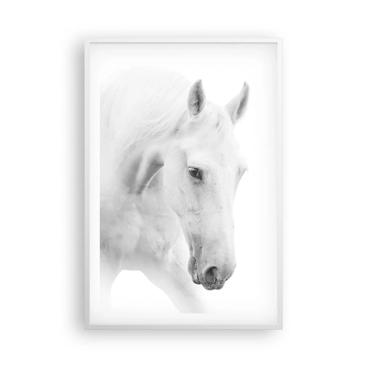 Affiche dans un cadre blanc - Poster - Serait-ce de l’amitié? - 61x91 cm