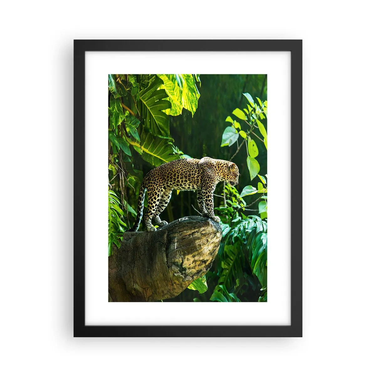Affiche dans un cadre noir - Poster - À la chasse? - 30x40 cm