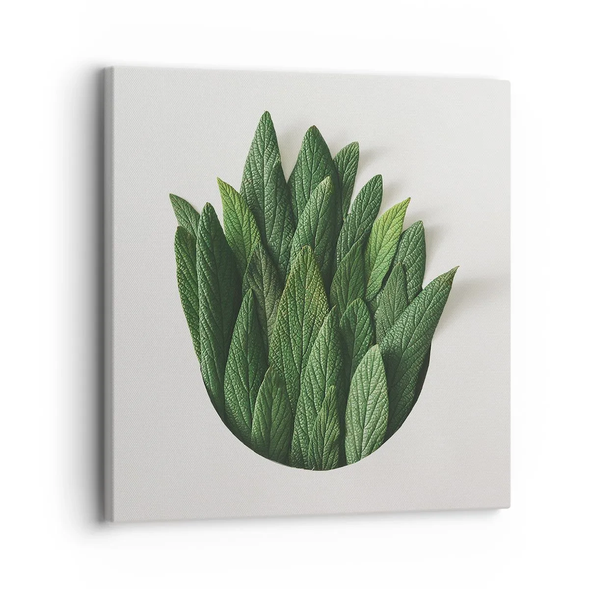 Impression sur toile - Image sur toile - Curiosité sans retenue - 30x30 cm