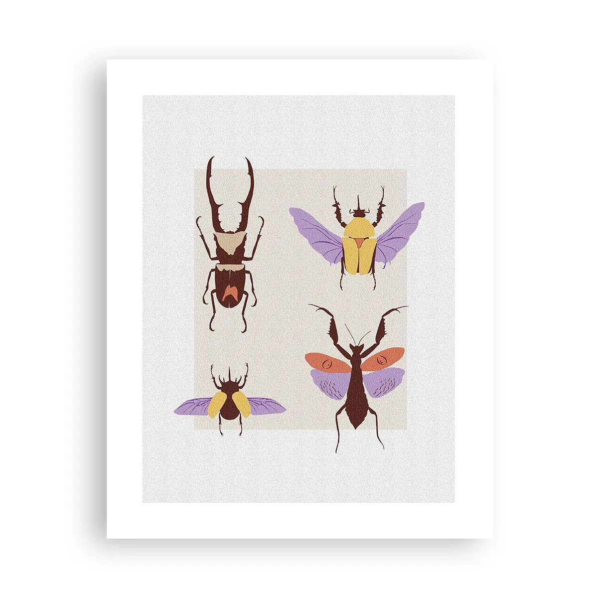 Affiche - Poster - Le monde des insectes - 40x50 cm