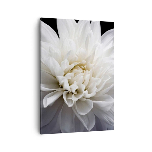 Impression sur toile - Image sur toile - Une délicate fleur blanche sur fond noir dans une composition élégante - 50x70cm - Le matin de la jeune mariéé - Décoration murale moderne pour le salon et la chambre ARTTOR