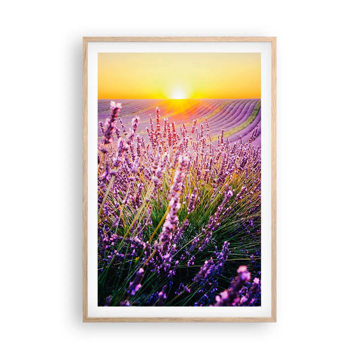 Affiche dans un chêne clair - Poster - Tige parfumée - 61x91 cm