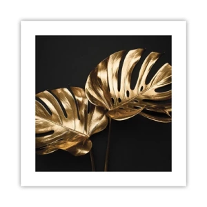 Affiche - Poster - Les trésors de la nature - 40x40 cm