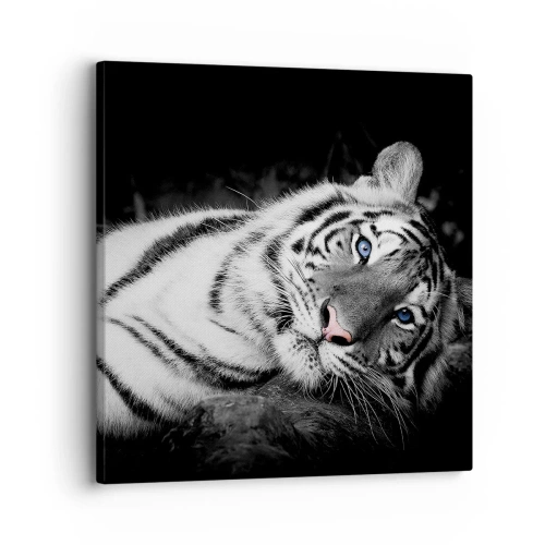 Impression sur toile - Image sur toile - Sauvagerie et paix - 30x30 cm