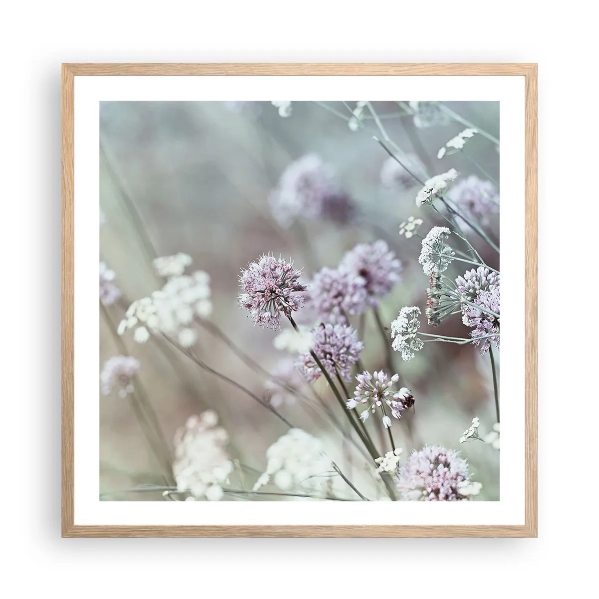 Affiche dans un chêne clair - Poster - Herbes douces en filigrane - 60x60 cm