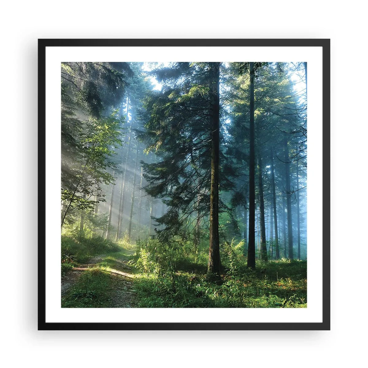 Affiche dans un cadre noir - Poster - Rayonnant le matin - 60x60 cm
