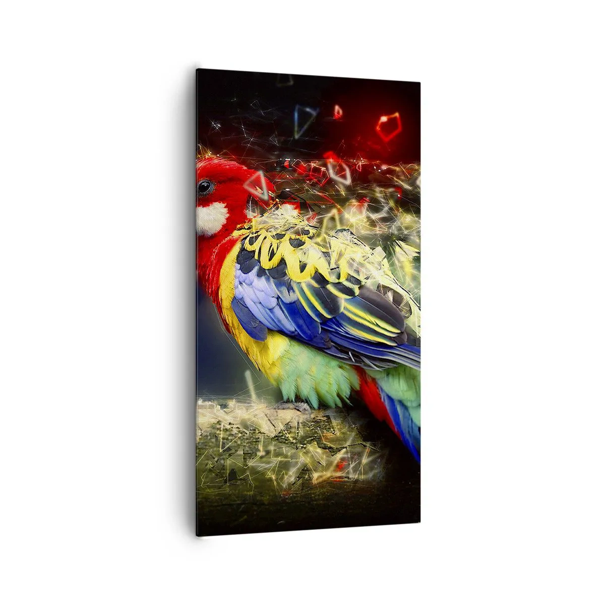 Impression sur toile - Image sur toile - Messager d'éclat - 65x120 cm