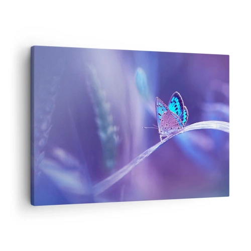 Impression sur toile - Image sur toile - Un délicat papillon bleu sur une tige dans une lumière violette - 70x50cm - Un joyau de la nature - Décoration murale moderne pour le salon et la chambre ARTTOR