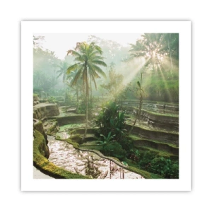 Affiche - Poster - Grandir au soleil - 50x50 cm