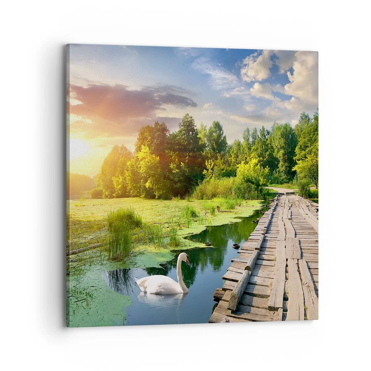 Impression sur toile - Image sur toile - L'été, l'été partout - 70x70 cm