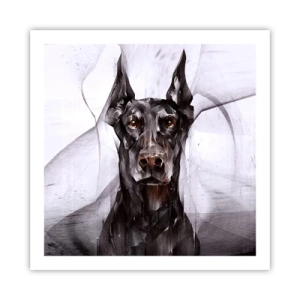 Affiche - Poster - Né noble - 60x60 cm