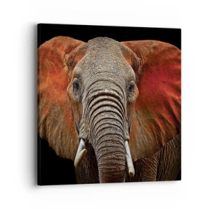 Impression sur toile - Image sur toile - Je suis sauvage, et toi? - 40x40 cm