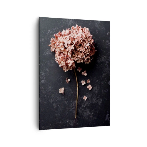 Impression sur toile - Image sur toile - Une délicate fleur d'hortensia sur un fond sombre - 50x70cm - Un signe vraiment romantique - Décoration murale moderne pour le salon et la chambre ARTTOR