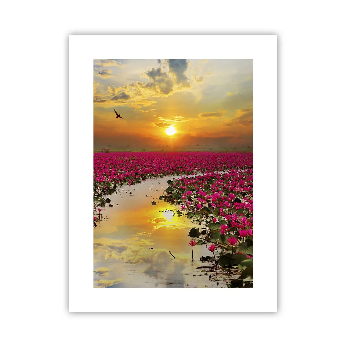 Affiche - Poster - La vie secrète du lac - 30x40 cm