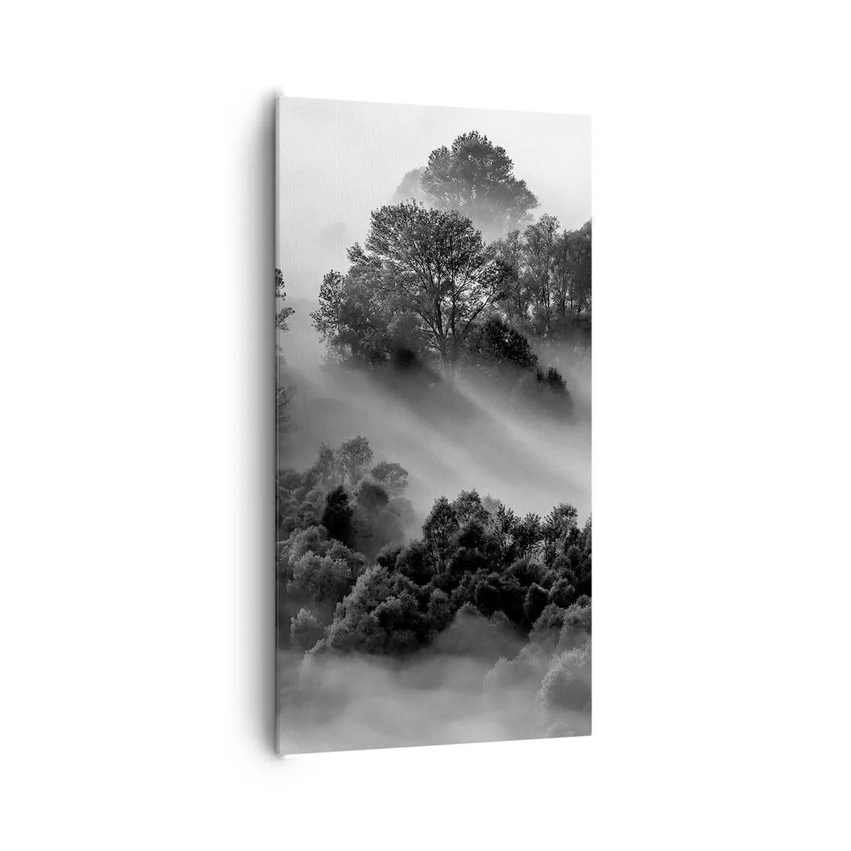 Impression sur toile - Image sur toile - Sortir de son sommeil - 65x120 cm