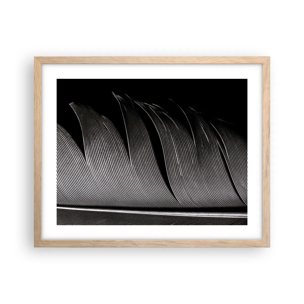 Affiche dans un chêne clair - Poster - La plume – un design magnifique - 50x40 cm