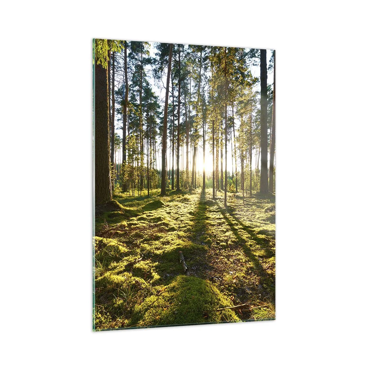 Impression sur verre - Image sur verre - Les rayons du soleil pénètrent à travers les arbres de la forêt - 50x70cm - … Derrière les sept forêts - Décoration murale moderne pour le salon et la chambre ARTTOR