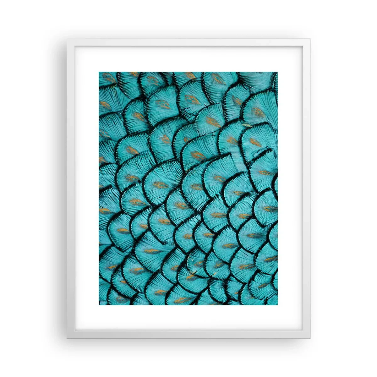 Affiche dans un cadre blanc - Poster - Le grand gala des plumes - 40x50 cm