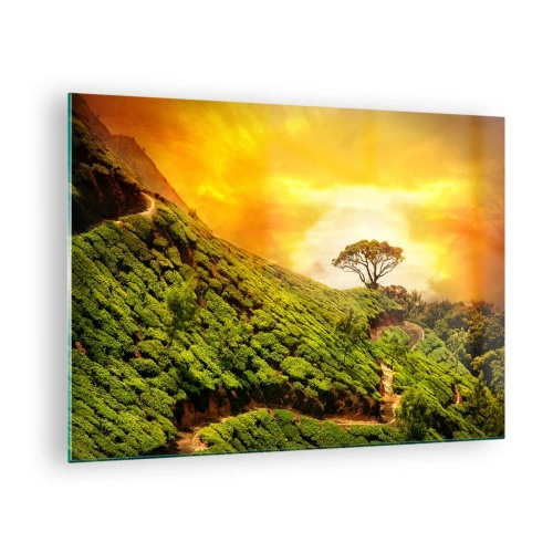Impression sur verre - Image sur verre - Collines verdoyantes avec un arbre solitaire au coucher du soleil - 70x50cm - Un chemin sinueux, une pente verte - Décoration murale moderne pour le salon et la chambre ARTTOR