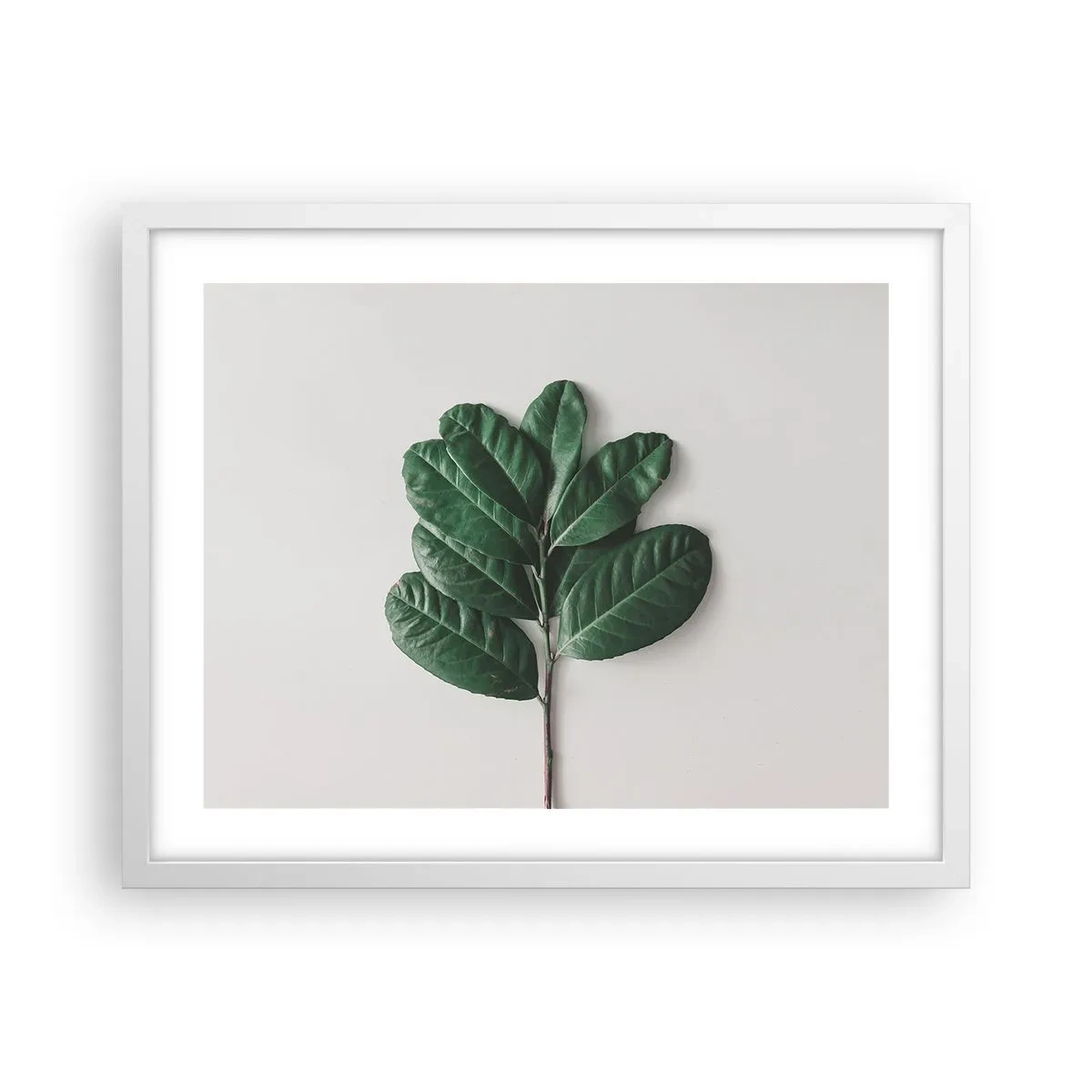 Affiche dans un cadre blanc - Poster - Dessin de la nature elle-même - 50x40 cm