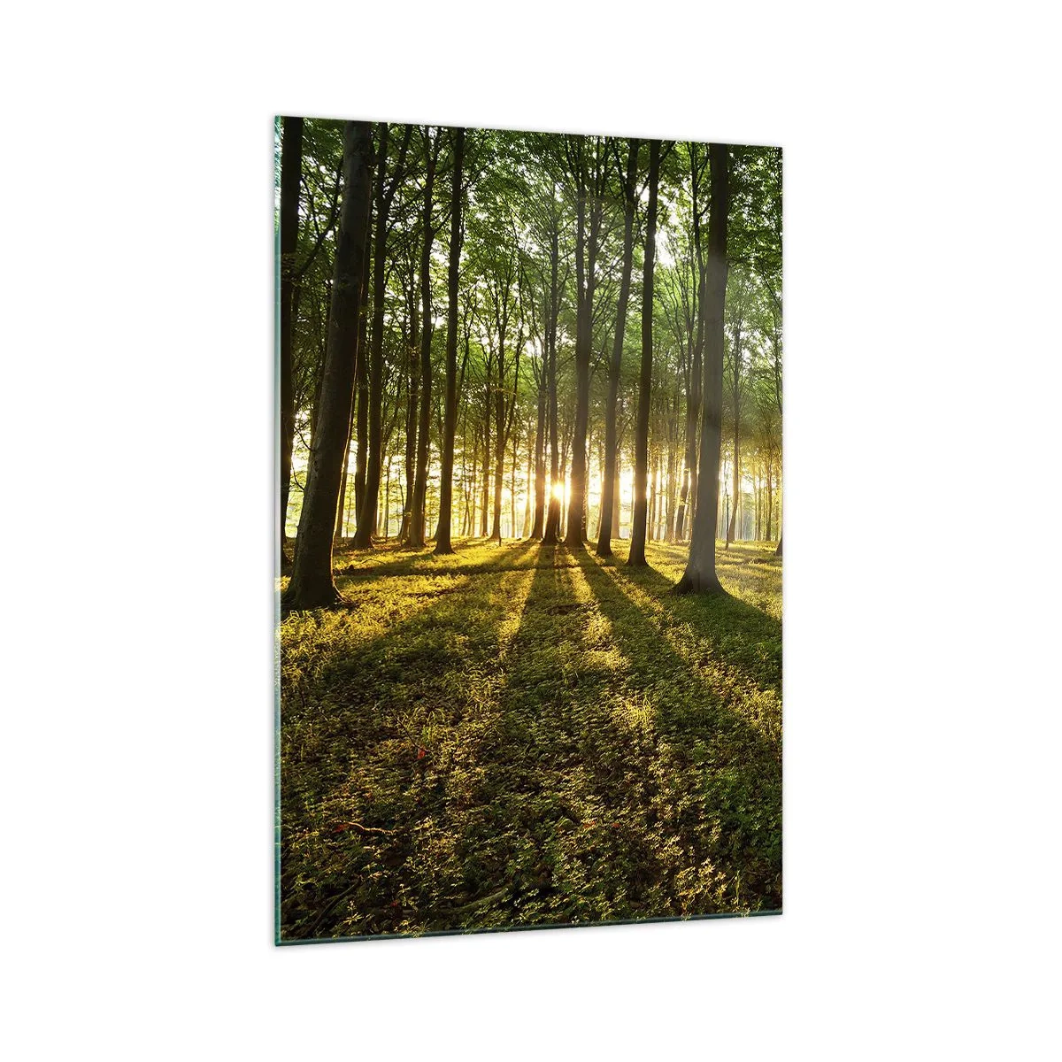 Impression sur verre - Image sur verre - Le soleil couchant dans la forêt de feuillus - 70x100cm - Toutes les photographies de printemps - Décoration murale moderne pour le salon et la chambre ARTTOR