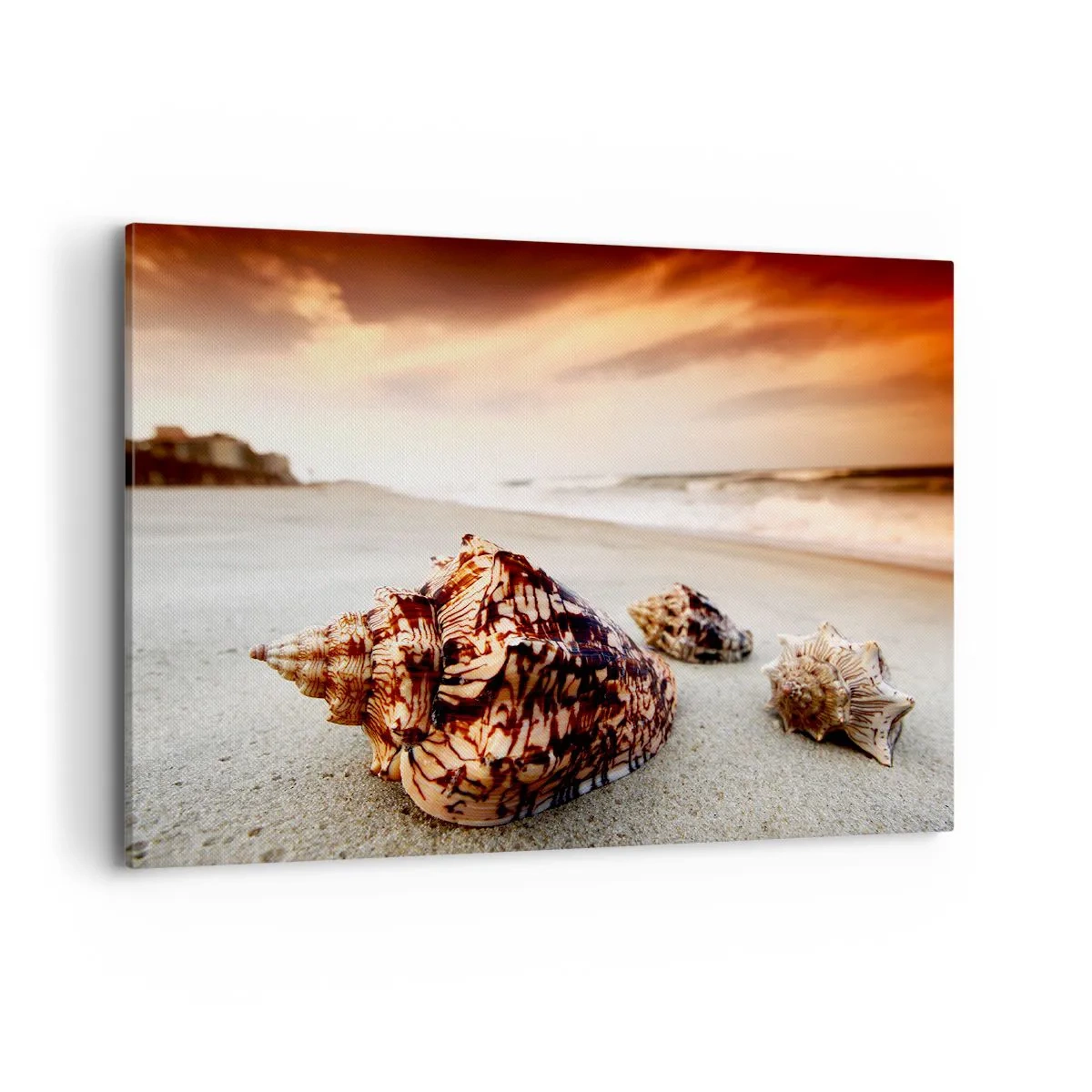 Impression sur toile - Image sur toile - Coquillages sur la plage au coucher du soleil - 100x70cm - Les parias des vagues - Décoration murale moderne pour le salon et la chambre ARTTOR