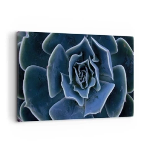 Impression sur toile - Image sur toile - Gros plan d'une rosette succulente verte - 120x80cm - Fleur du désert - Décoration murale moderne pour le salon et la chambre ARTTOR