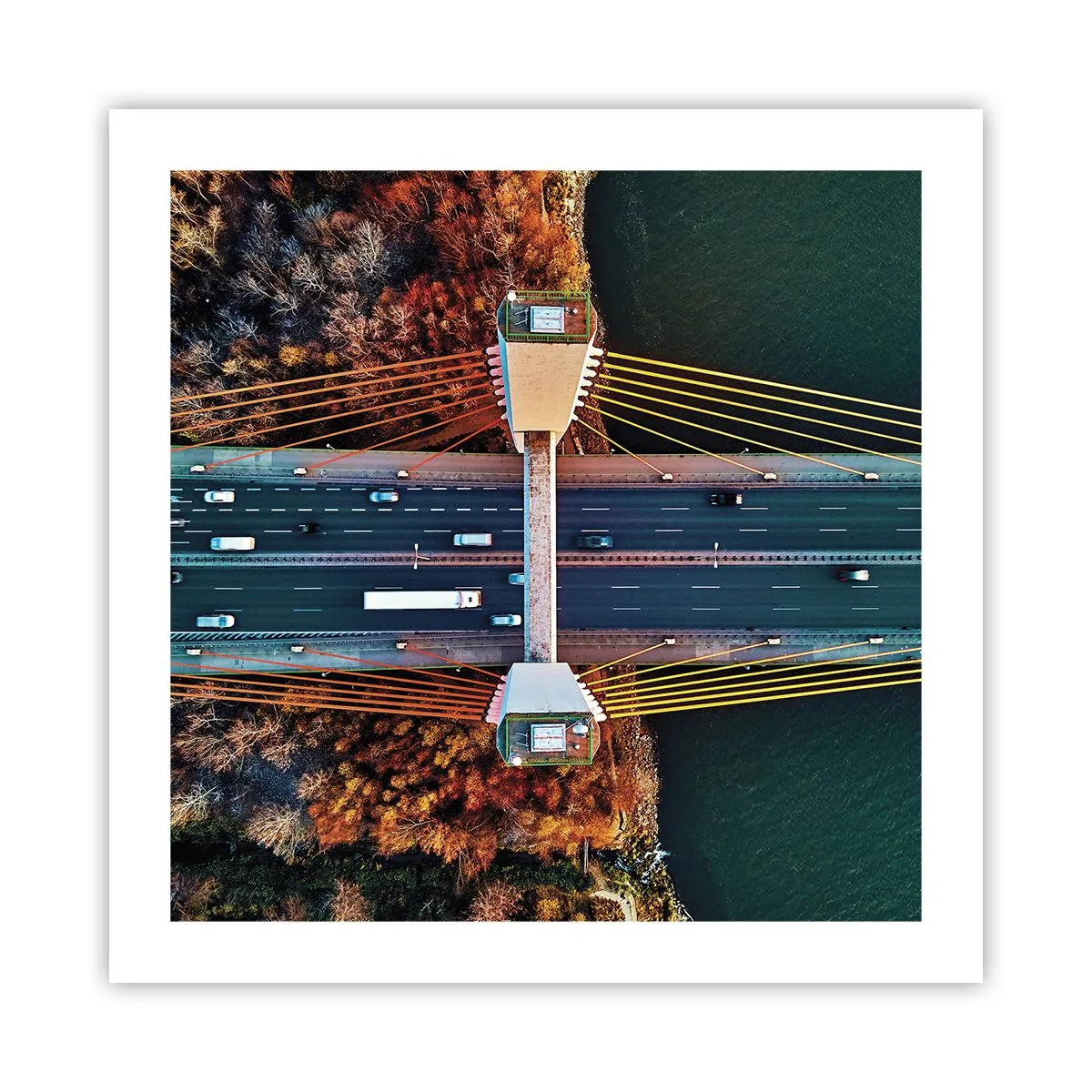 Affiche - Poster - Au dessus de l'eau et de la forêt - 50x50 cm