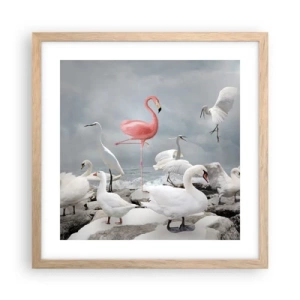 Affiche dans un chêne clair - Poster - Comment suis-je arrivé là? - 40x40 cm